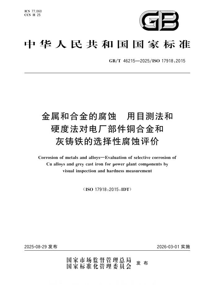 GB/T 46215-2025 标准预览
