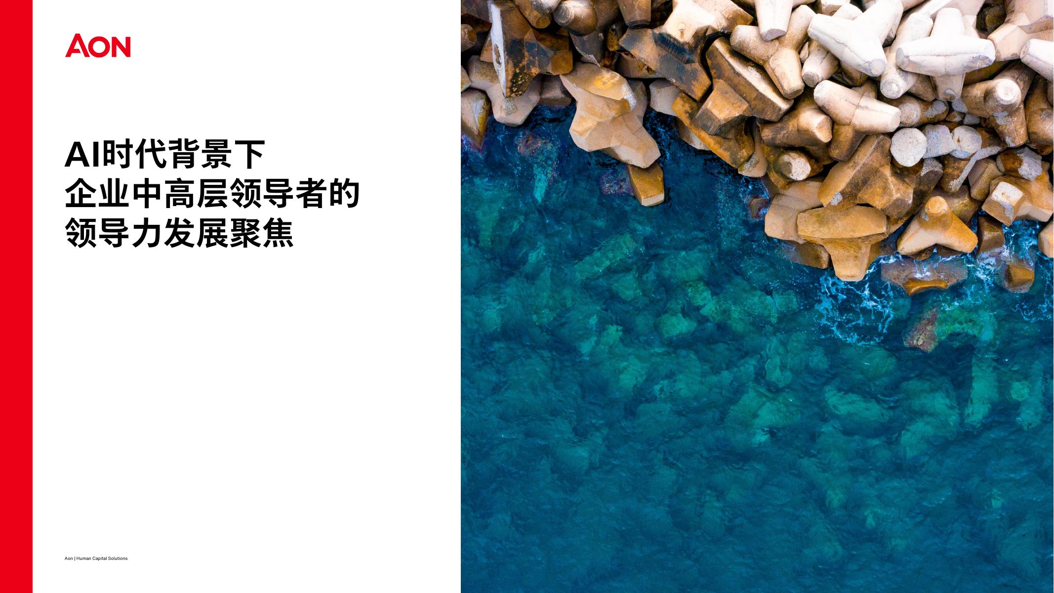 AON怡安智库：2026年宏观变局下中国企业领导力发展实践调研报告_第9页