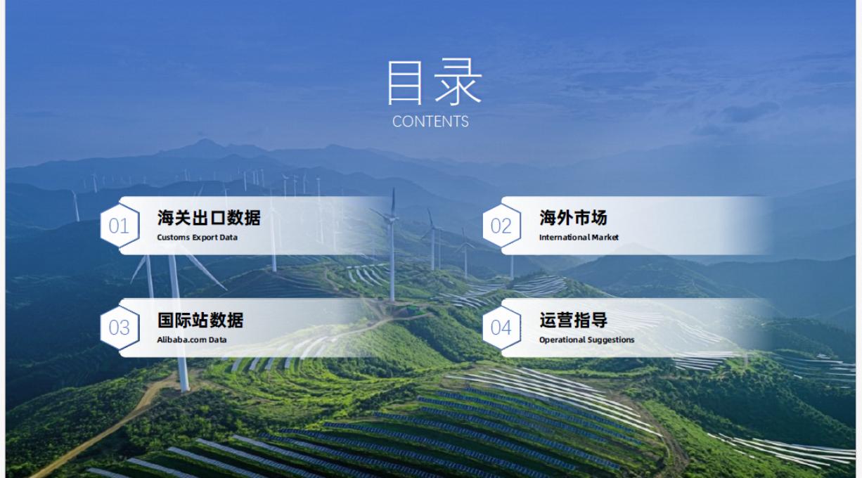 阿里巴巴：2026年可再生能源行业报告_第2页