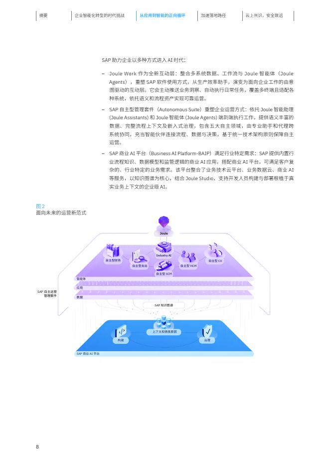 IBM商业价值研究所：2026年云上共识安全致远：IBM携手SAP赋能企业智能化跃迁研究报告_第9页