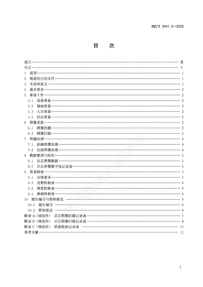 DZ/T 0441.2-2025 标准预览