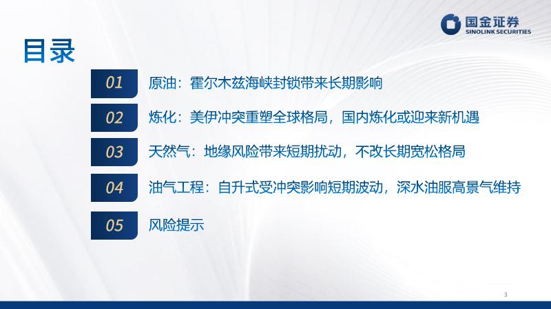 国金证券：石化行业2026年中期策略：地缘冲击下的行业新格局_第3页