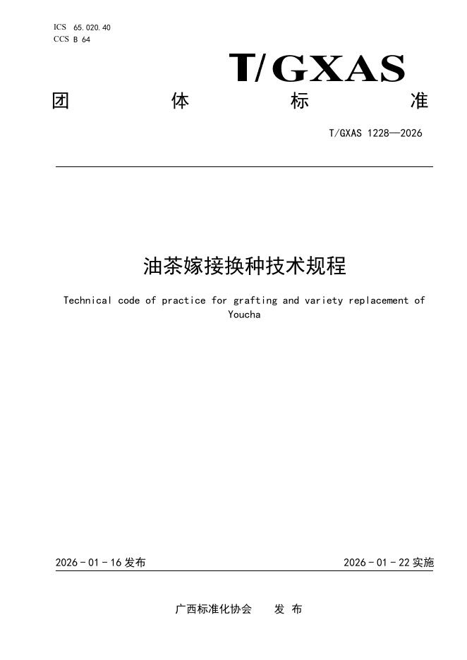 T/GXAS 1228-2026 油茶嫁接换种技术规程