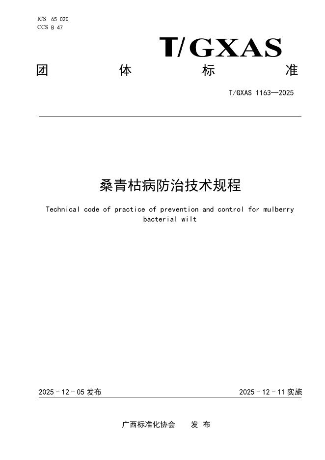 T/GXAS 1163-2025 桑青枯病防治技术规程