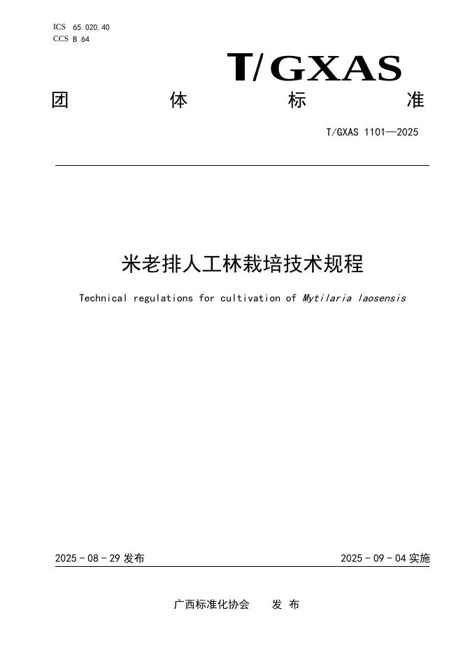 T/GXAS 1101-2025 米老排人工林栽培技术规程