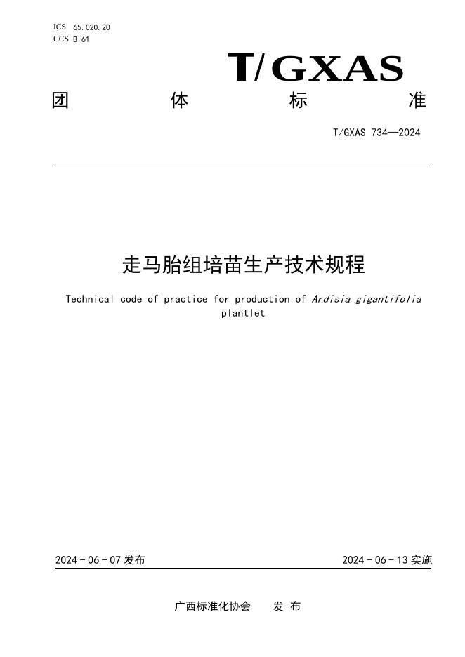 T/GXAS 734-2024 走马胎组培苗生产技术规程
