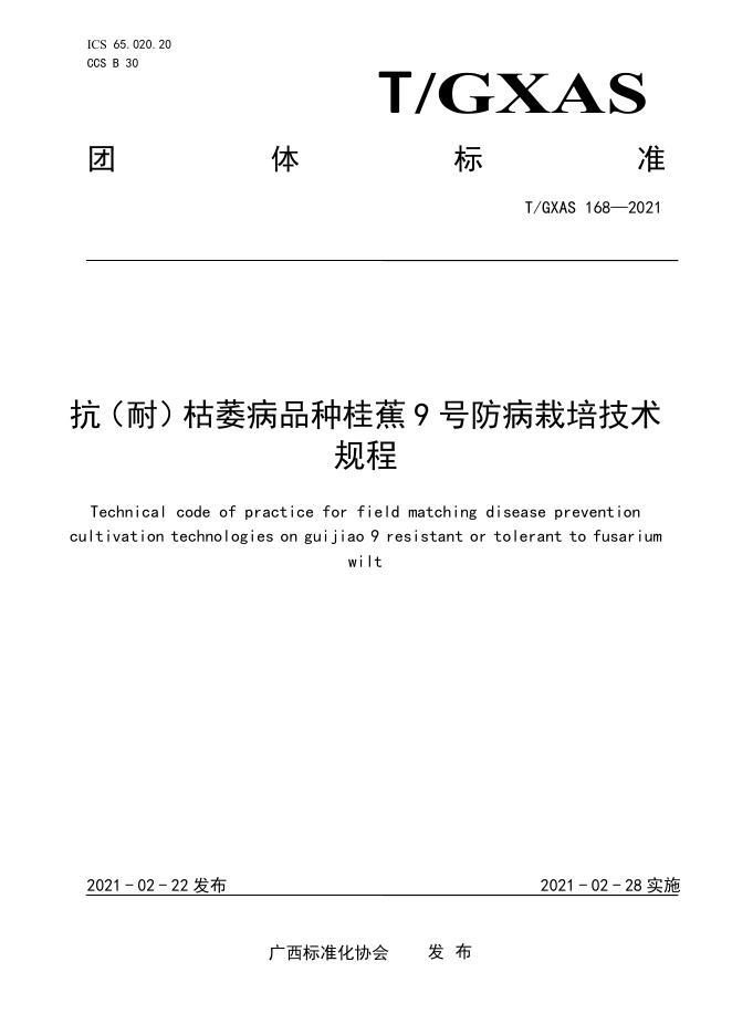 T/GXAS 168-2021 抗（耐）枯萎病品种桂蕉9号防病栽培技术规程