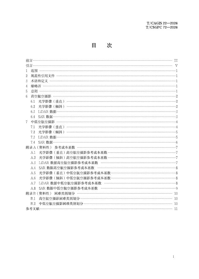 T/CAGIS 22-2026 标准预览
