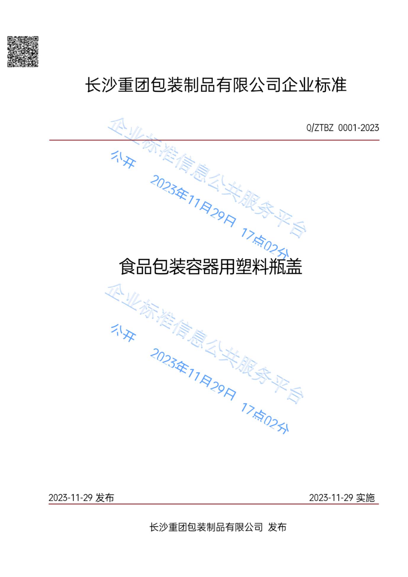 Q/ZTBZ 0001-2023 标准预览