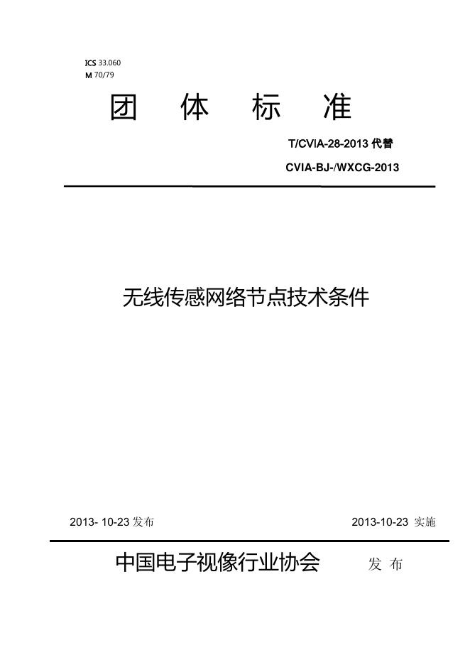 T/CVIA 28-2013 标准预览