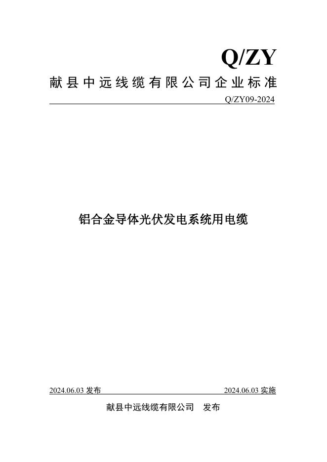 Q/ZY 09-2024 标准预览