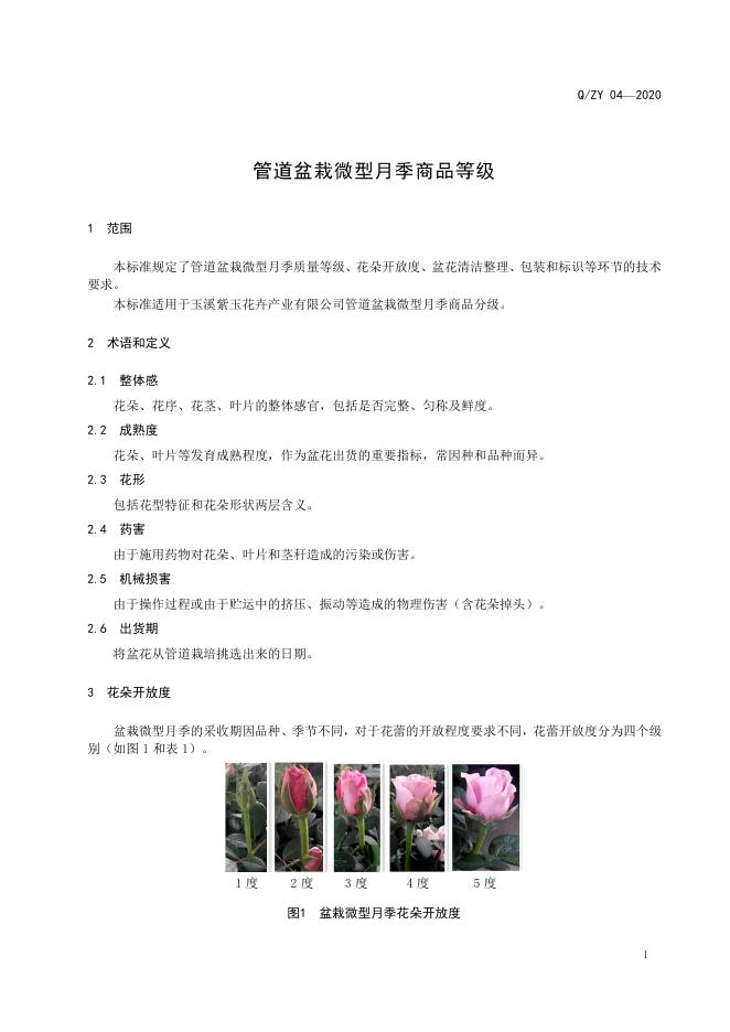 Q/ZY 04-2020 标准预览