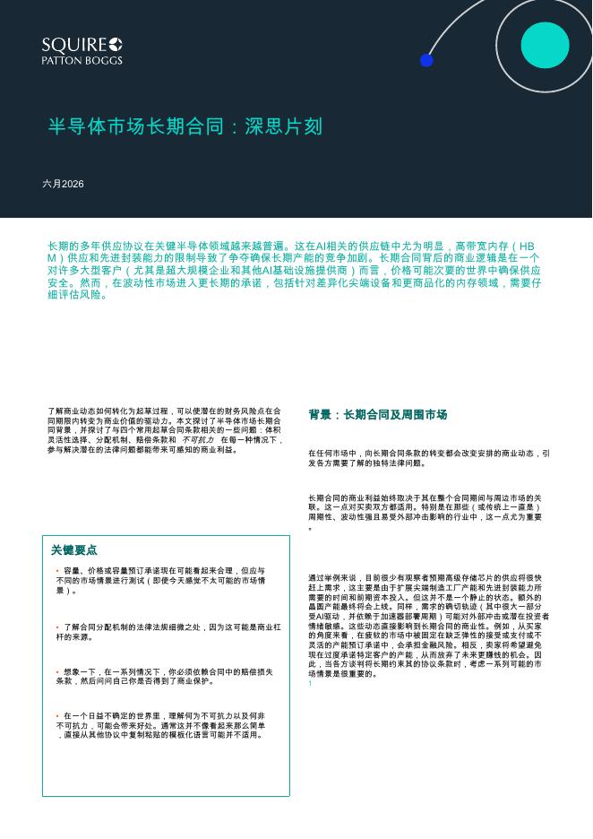 SQUIRE：半导体市场长期合同：深思片刻海报