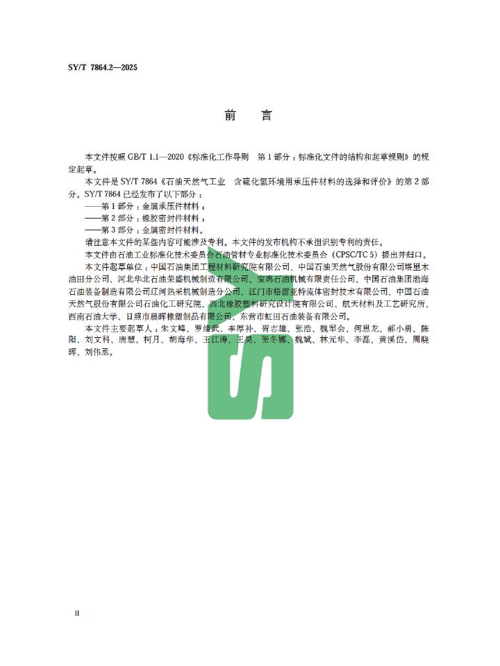 SY/T 7864.2-2025 标准预览