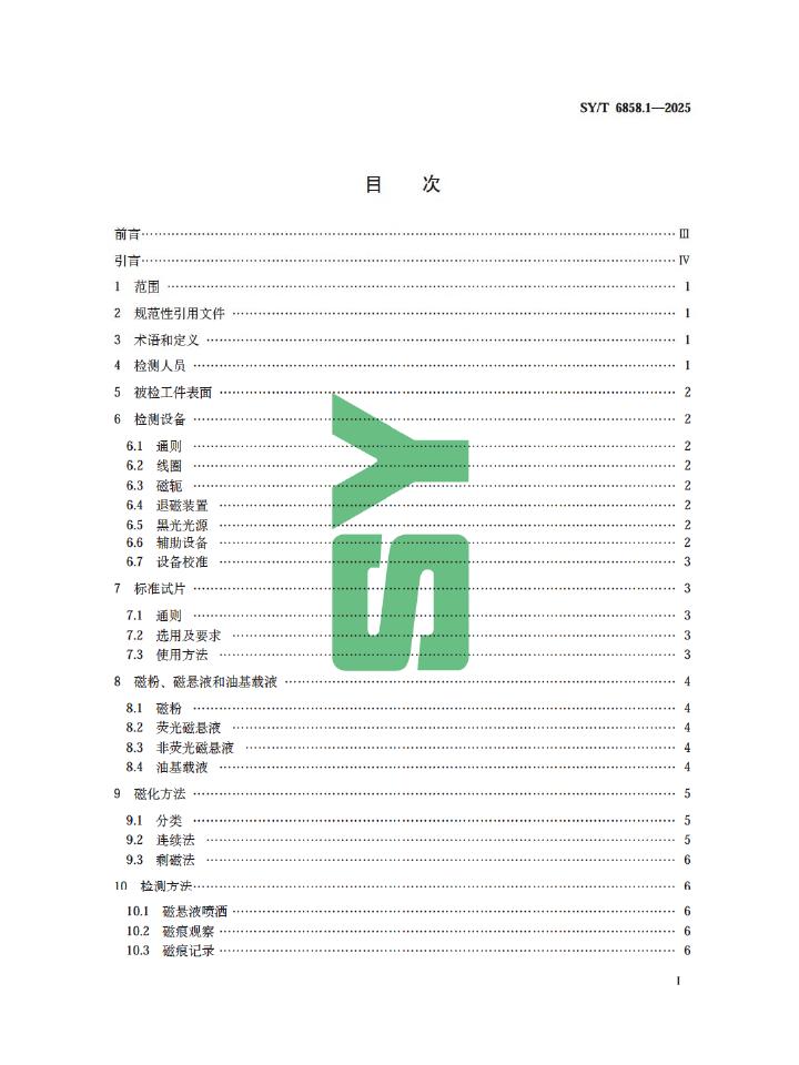 SY/T 6858.1-2025 标准预览