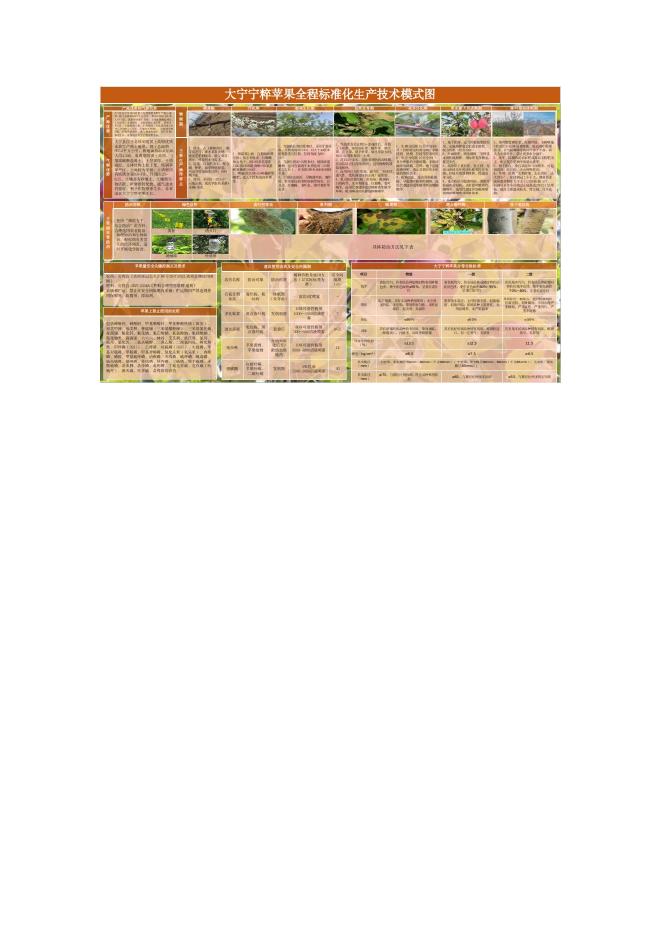 T/DNNC 004-2026 大宁宁粹苹果标准生产模式图
