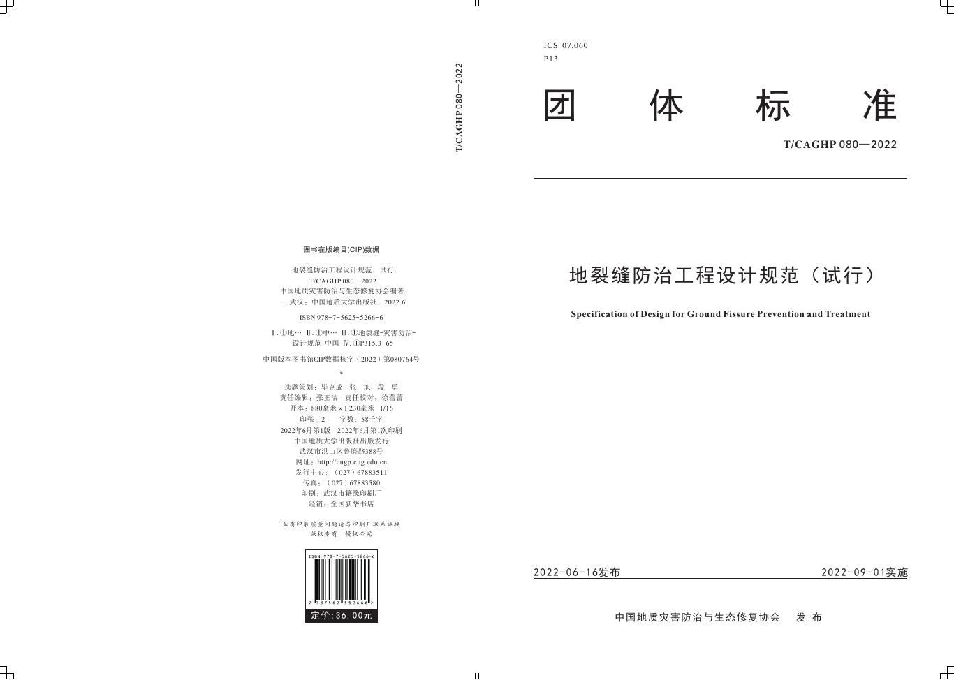 T/CAGHP 080-2022 标准预览