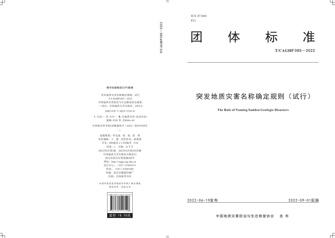 T/CAGHP 085-2022 标准预览