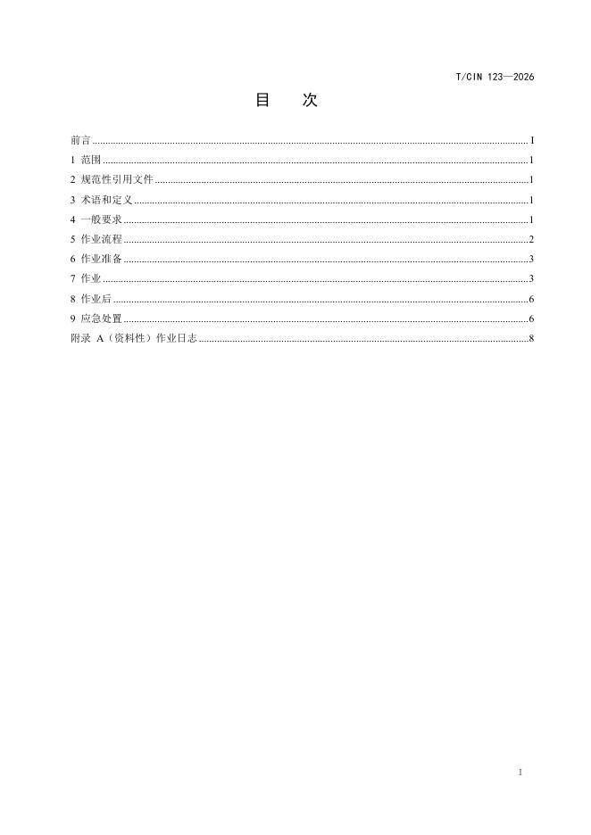 T/CIN 123-2026 标准预览
