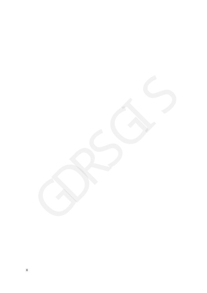 T/GDRSGIS 003-2021 标准预览