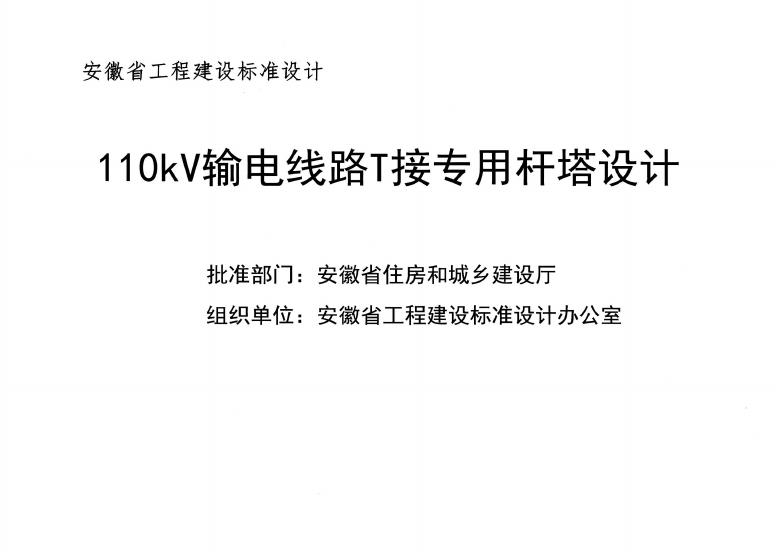 皖2019DT207 标准预览