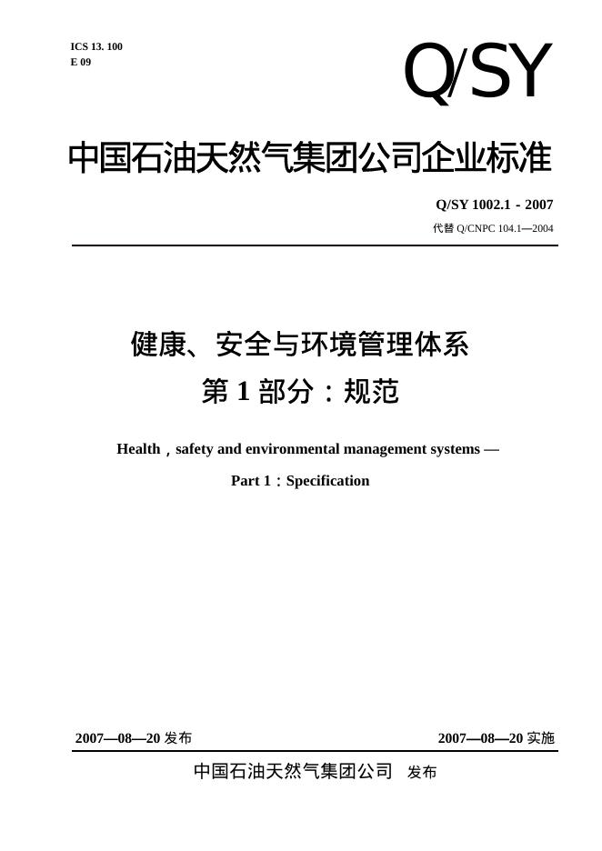 Q/SY 1002.1-2007 标准预览