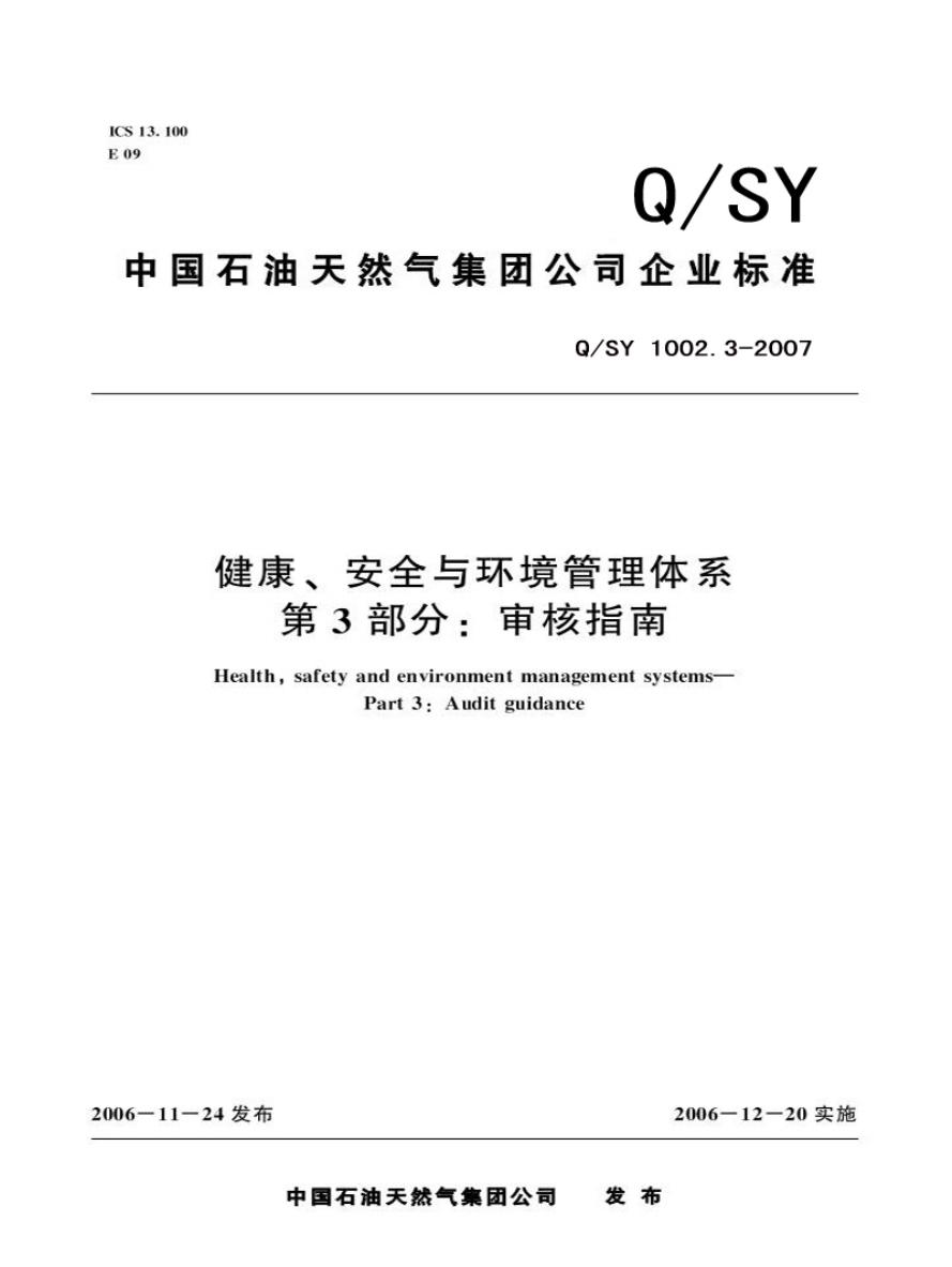 Q/SY 1002.3-2007 标准预览