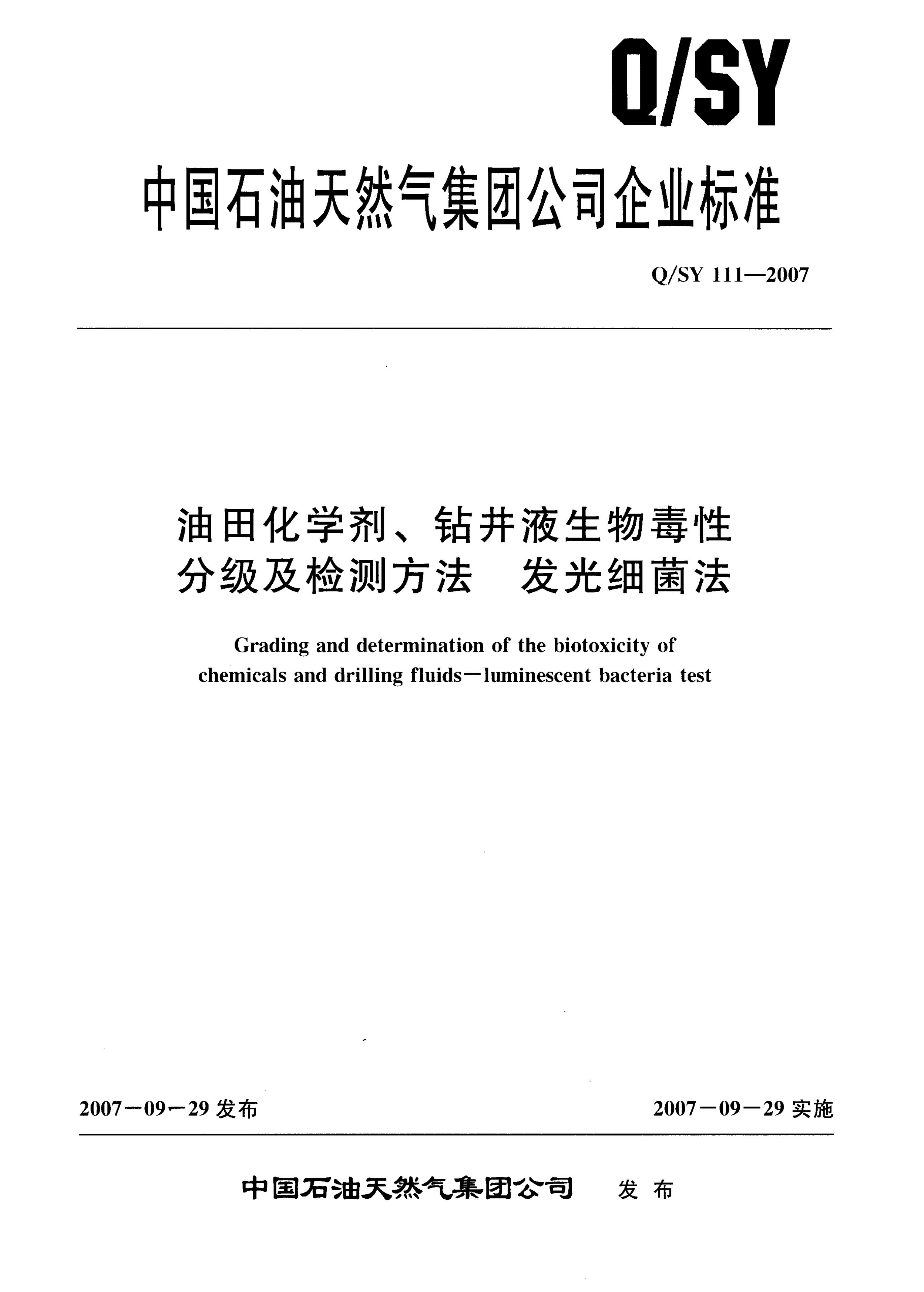 Q/SY 111-2007 标准预览