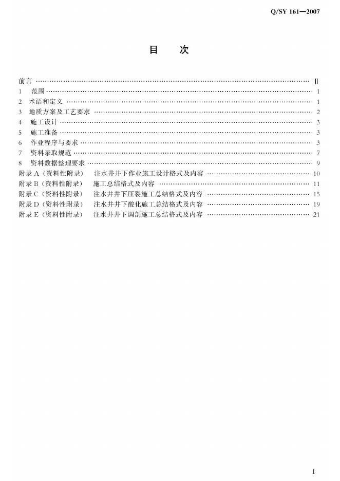Q/SY 161-2007 标准预览