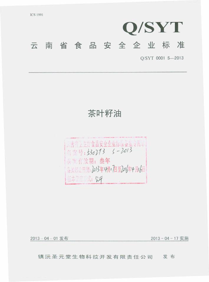 Q/SYT 0001S-2013 标准预览