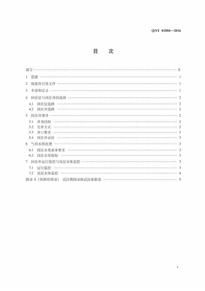 Q/SY 01004-2016 标准预览