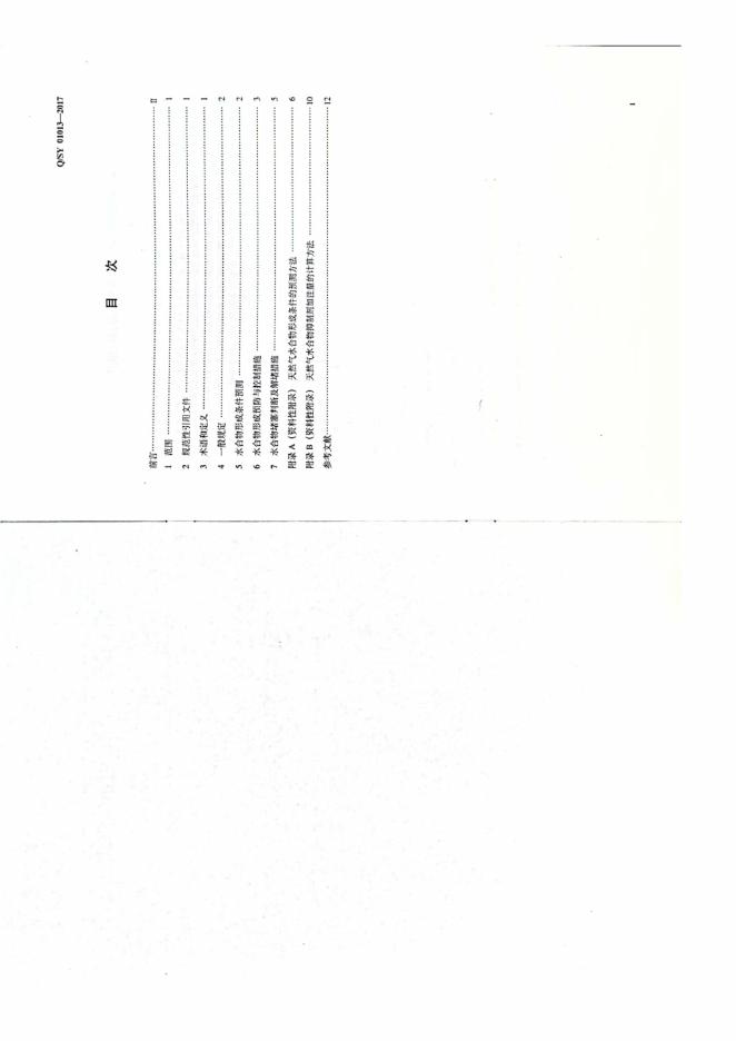 Q/SY 01013-2017 标准预览