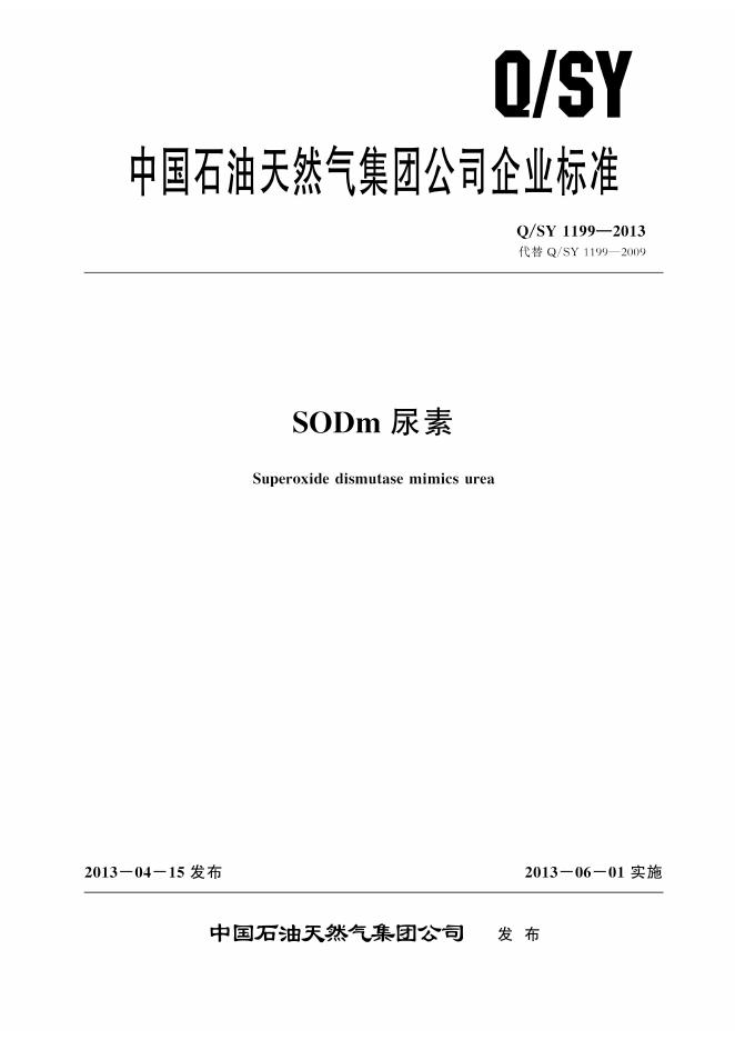 Q/SY 1199-2013 标准预览