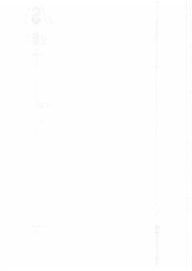 Q/SY 1343-2010 标准预览