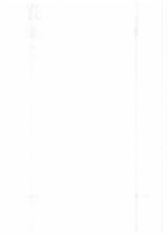 Q/SY 1345-2010 标准预览