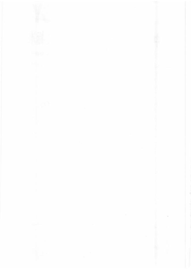 Q/SY 1349-2010 标准预览