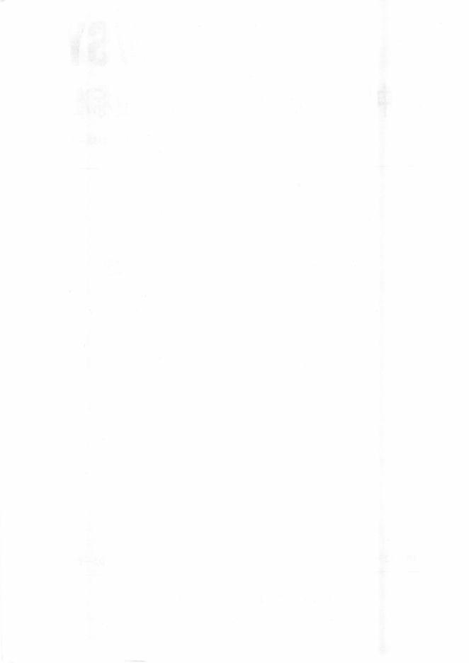 Q/SY 1358-2010 标准预览