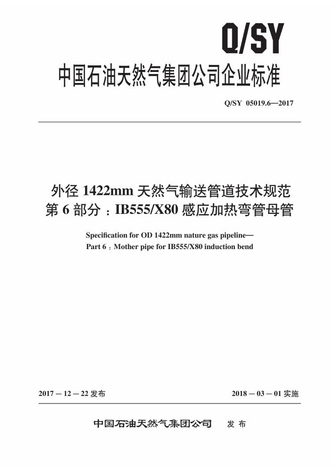 Q/SY 05019.6-2017 标准预览