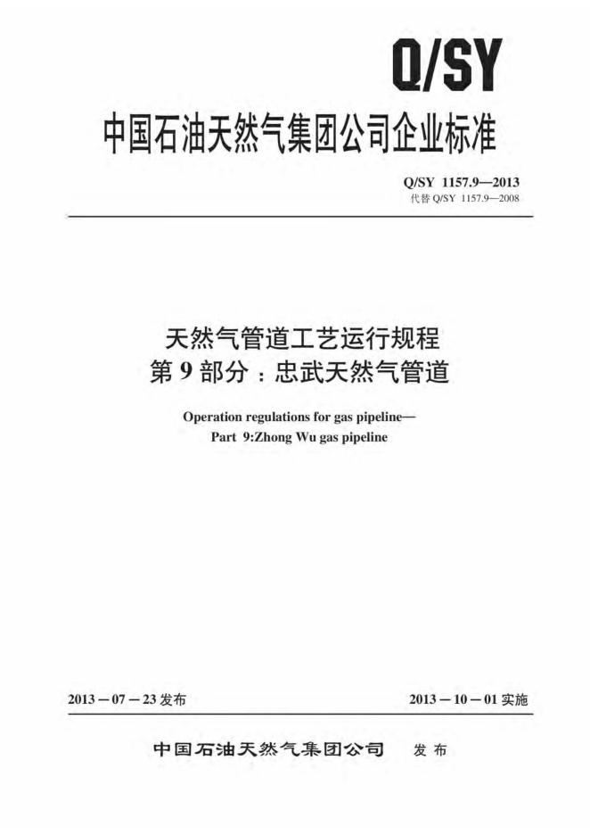 Q/SY 1157.9-2013 标准预览