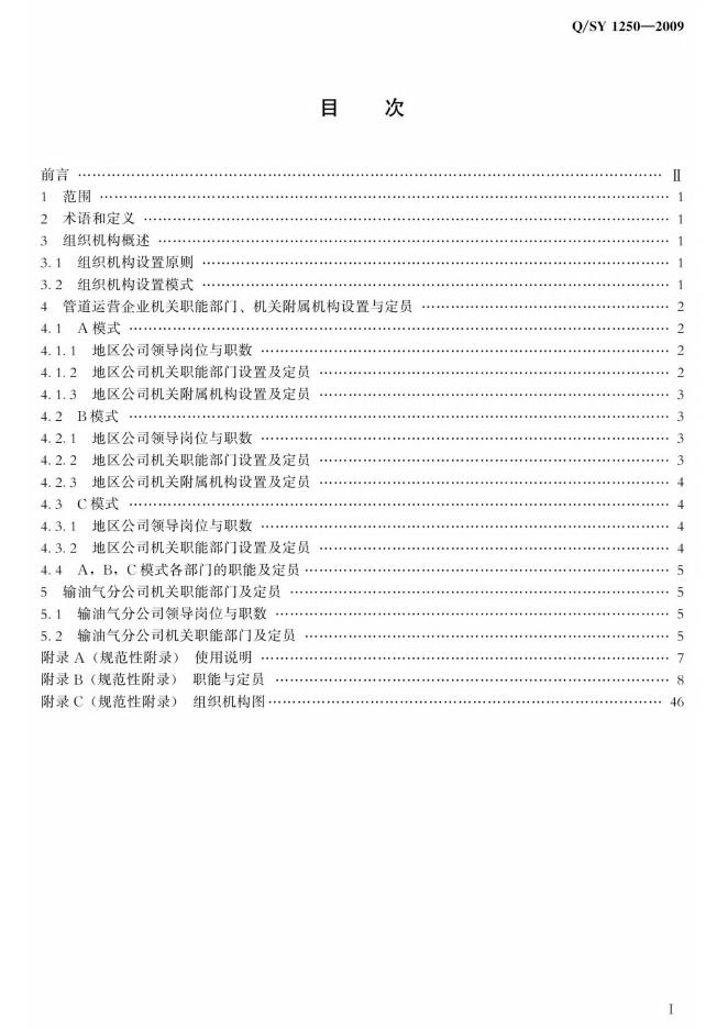 Q/SY 1250-2009 标准预览