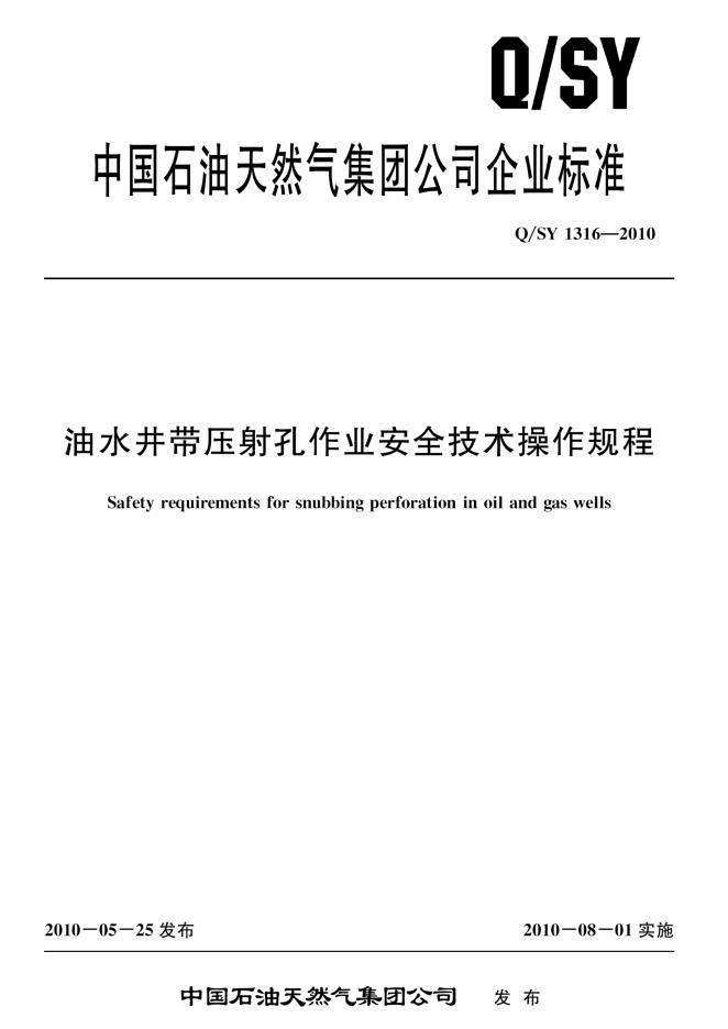 Q/SY 1316-2010 标准预览