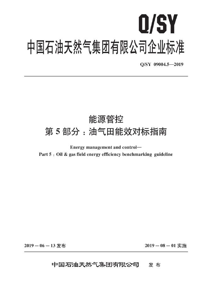 Q/SY 09004.5-2019 标准预览