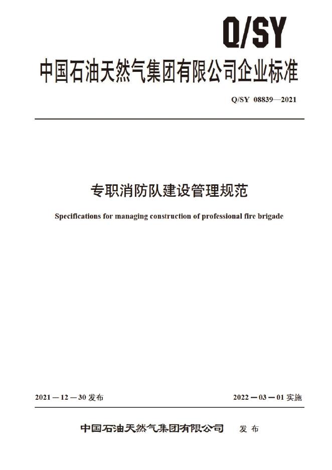 Q/SY 08839-2021 标准预览