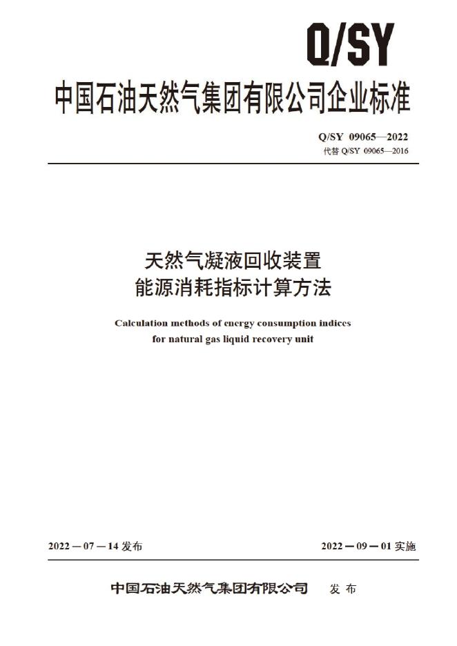 Q/SY 09065-2022 标准预览