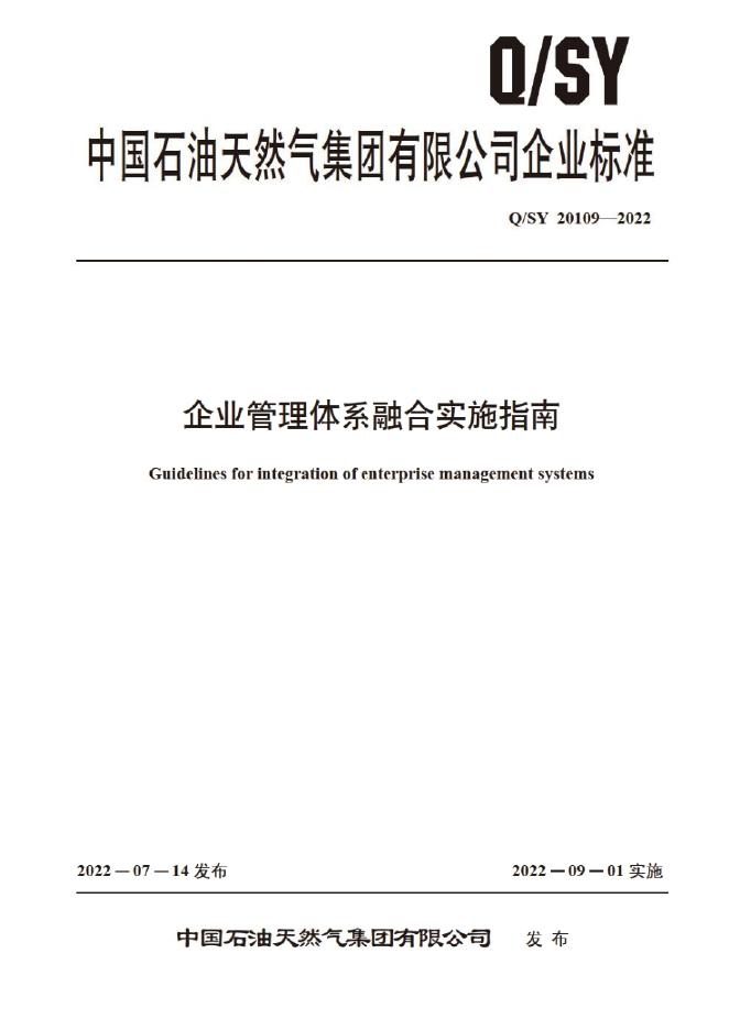 Q/SY 20109-2022 标准预览