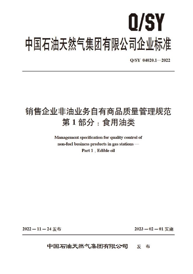Q/SY 04020.1-2022 标准预览