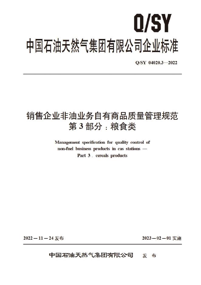 Q/SY 04020.3-2022 标准预览