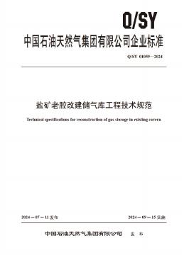 Q/SY 01059-2024 标准预览