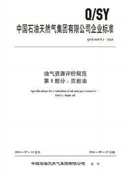 Q/SY 01075.1-2024 标准预览
