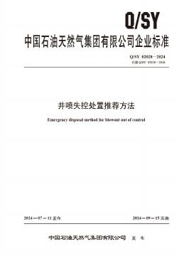 Q/SY 02028-2024 标准预览